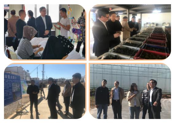 尊龙凯时·(中国集团)官方网站