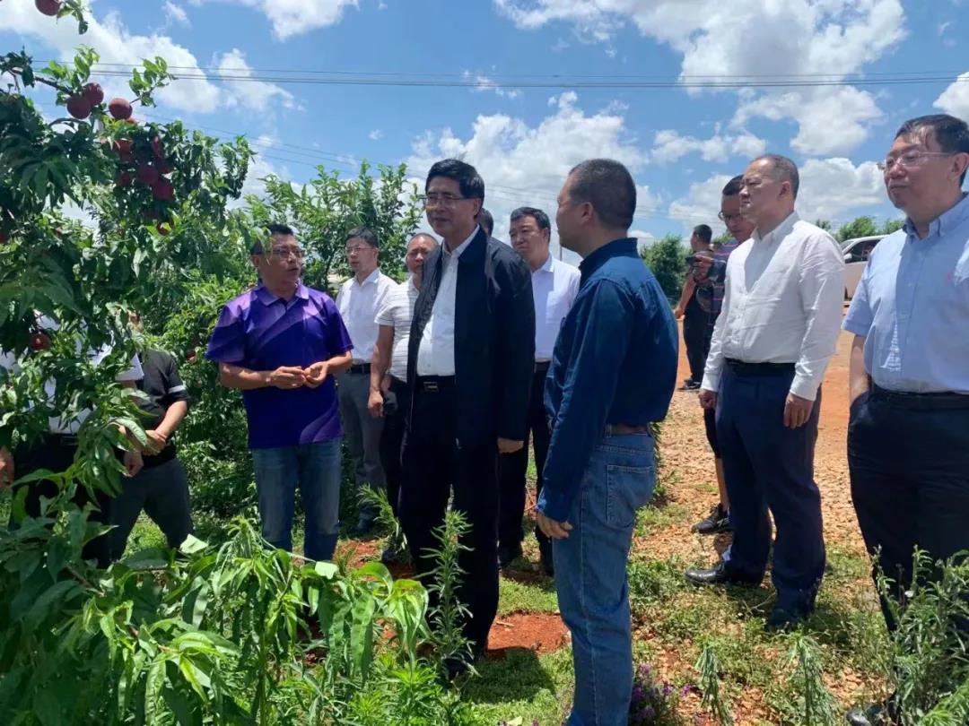 尊龙凯时·(中国集团)官方网站