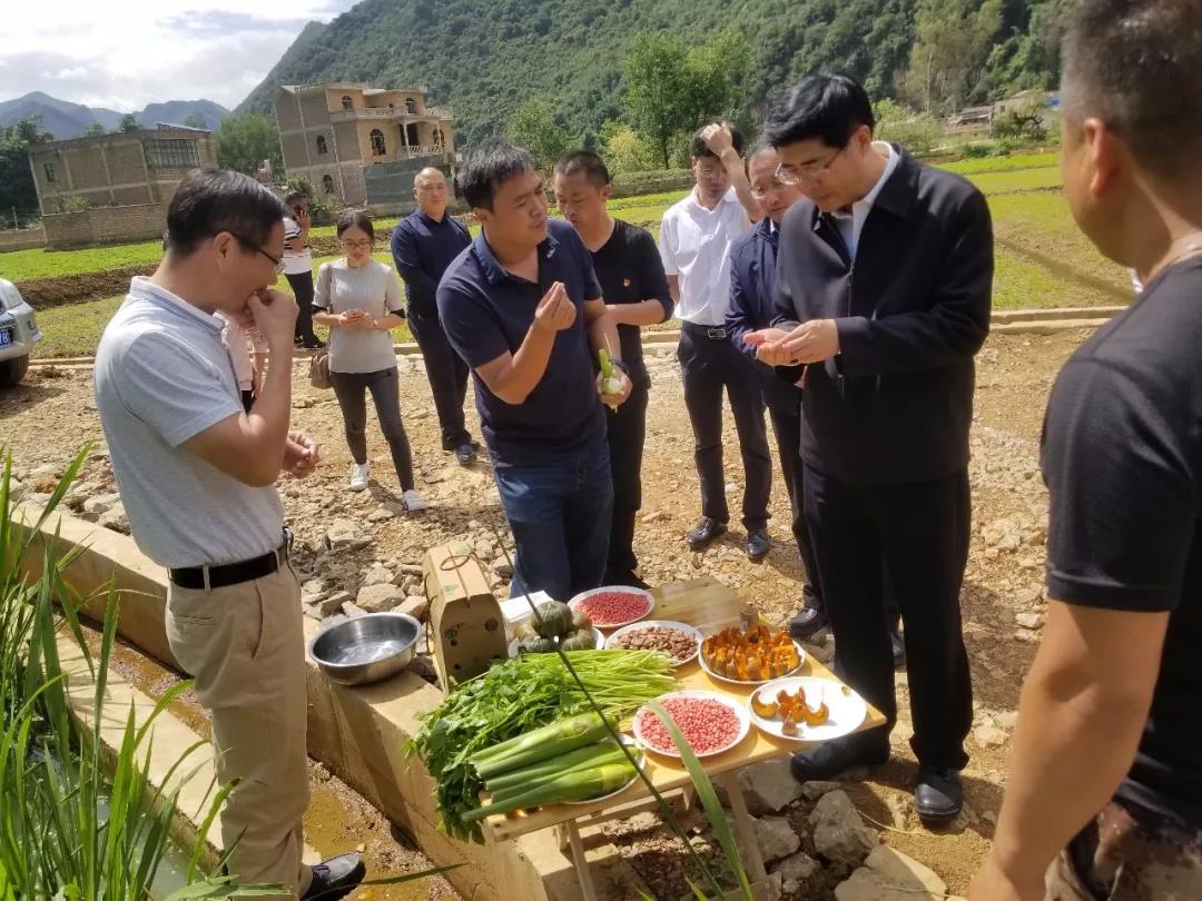 尊龙凯时·(中国集团)官方网站