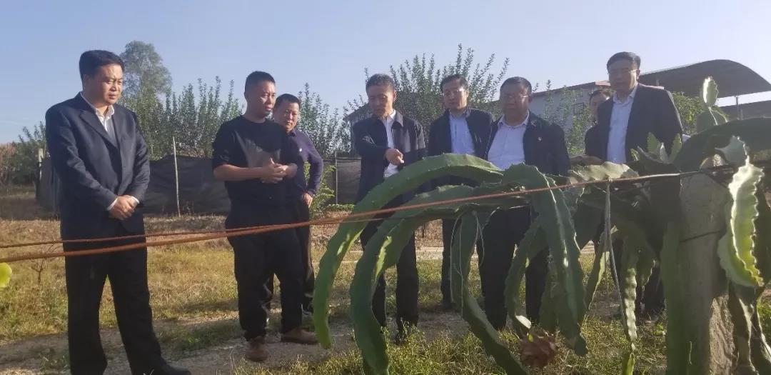 尊龙凯时·(中国集团)官方网站