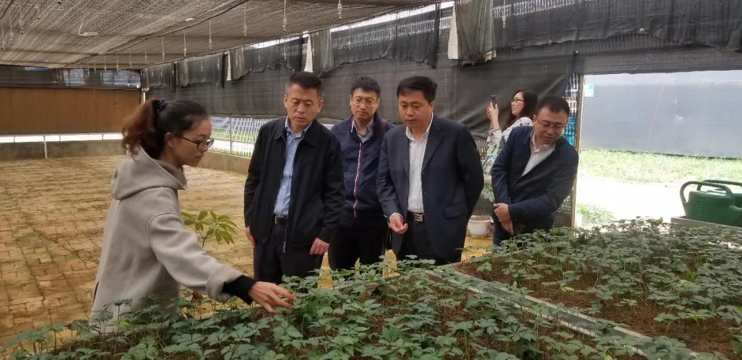 尊龙凯时·(中国集团)官方网站