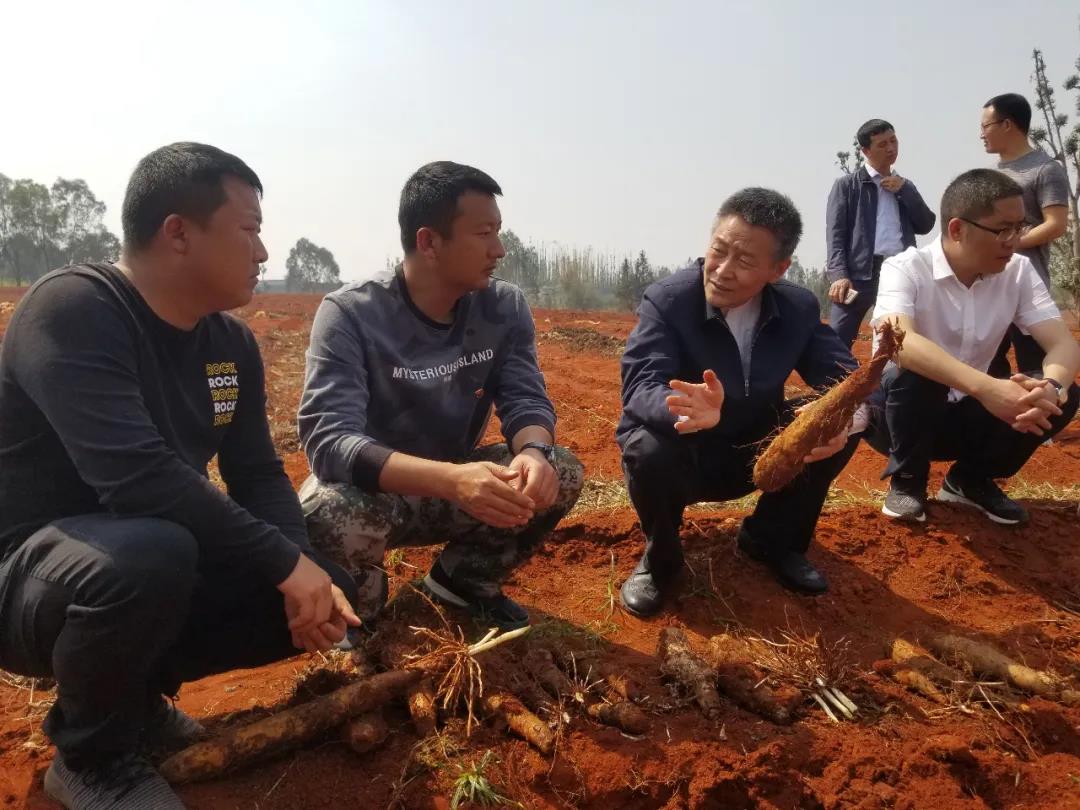 尊龙凯时·(中国集团)官方网站