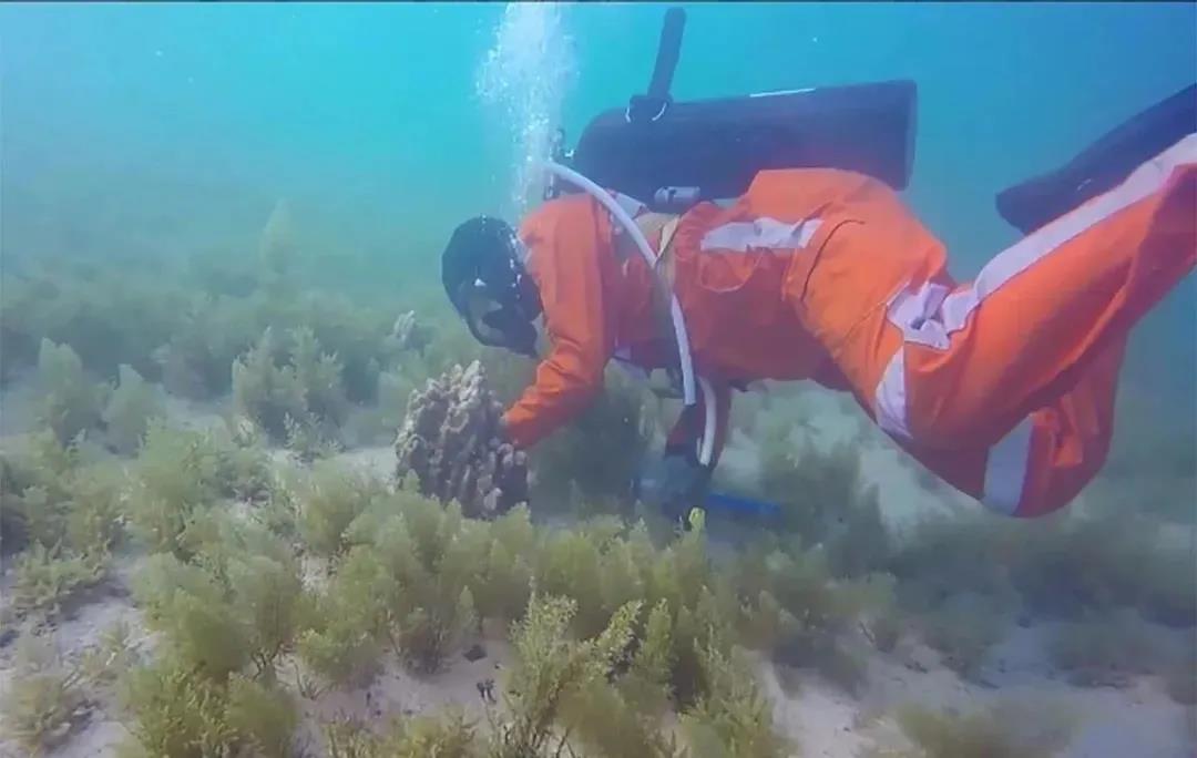 尊龙凯时·(中国集团)官方网站